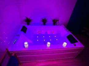 NOUVEAU Superbe appartement avec JACUZZI